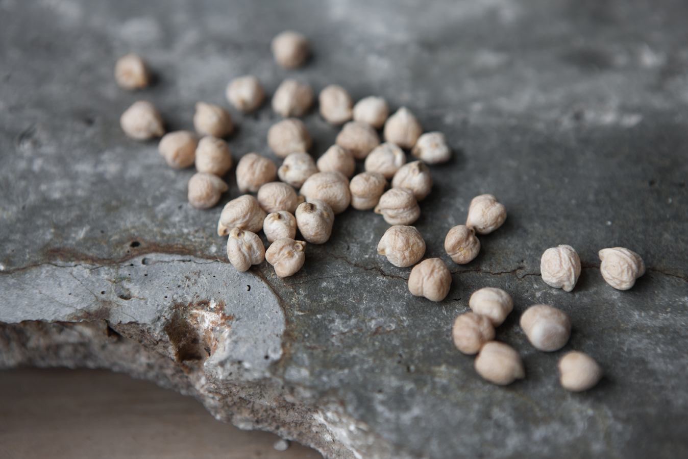 Saltbush Lamb & Chickpea Tagine